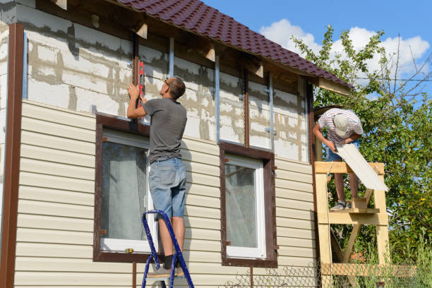Best Custom Trim and Detailing for Siding  in Kingston, OK
